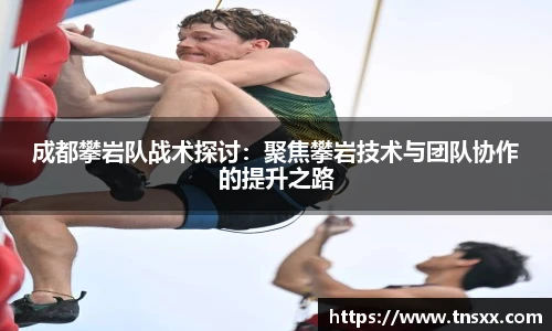 星空入口免费网站