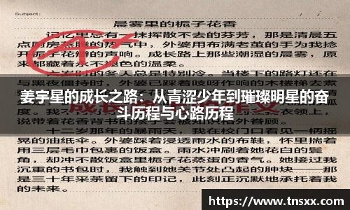 星空入口免费网站