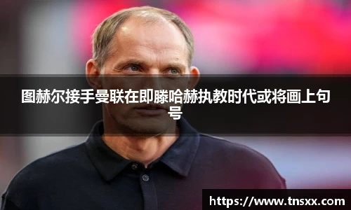 星空入口免费网站